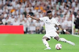 成了球迷们 成了球迷们